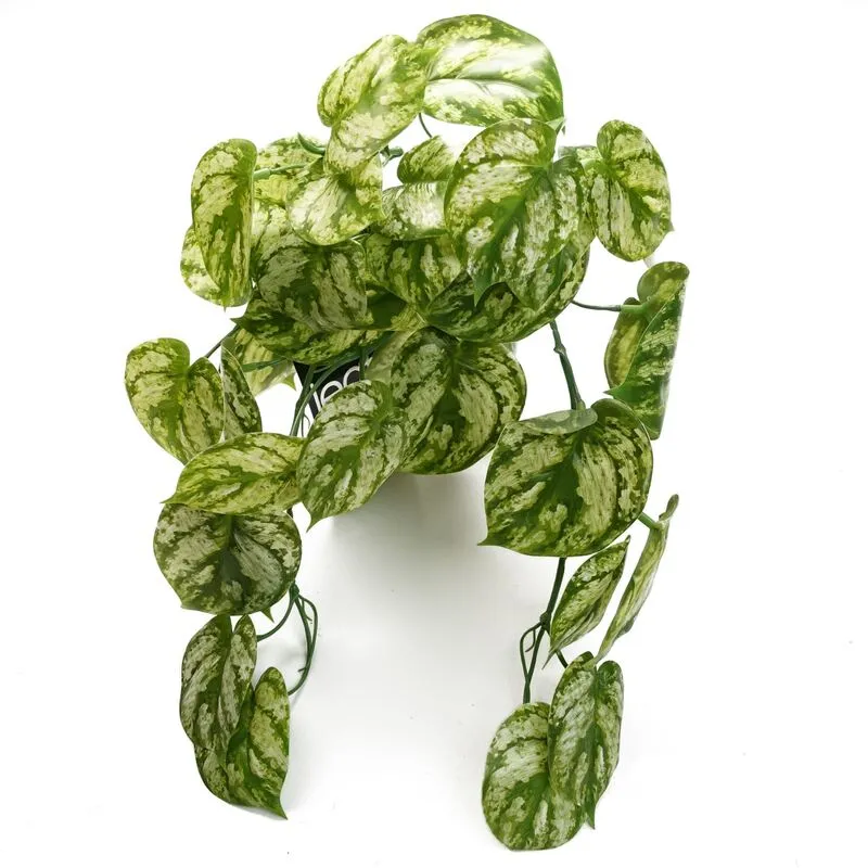 Leaf Artificial Trailing Light Green Plant - 35cm