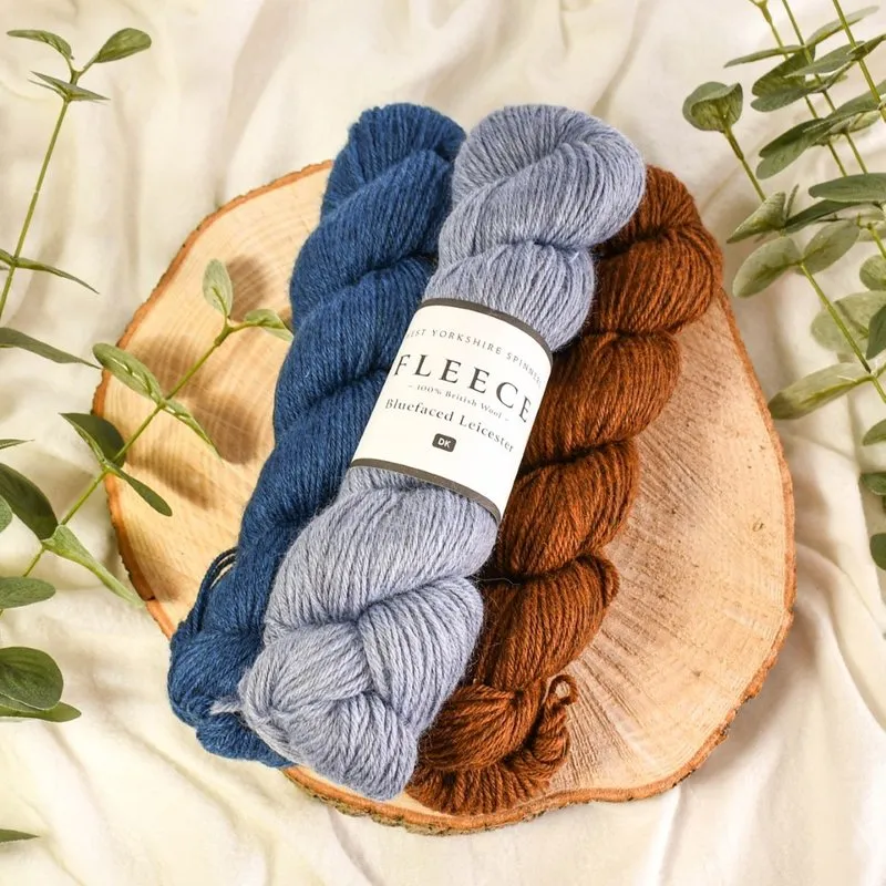 West Yorkshire Spinners Fleece Bluefaced Leicester DK Yarn Ecru 001 100g