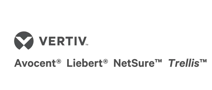 Vertiv Avocent UM KVM MODULE - VGA+SP DUAL RJ45 network transceiver mo