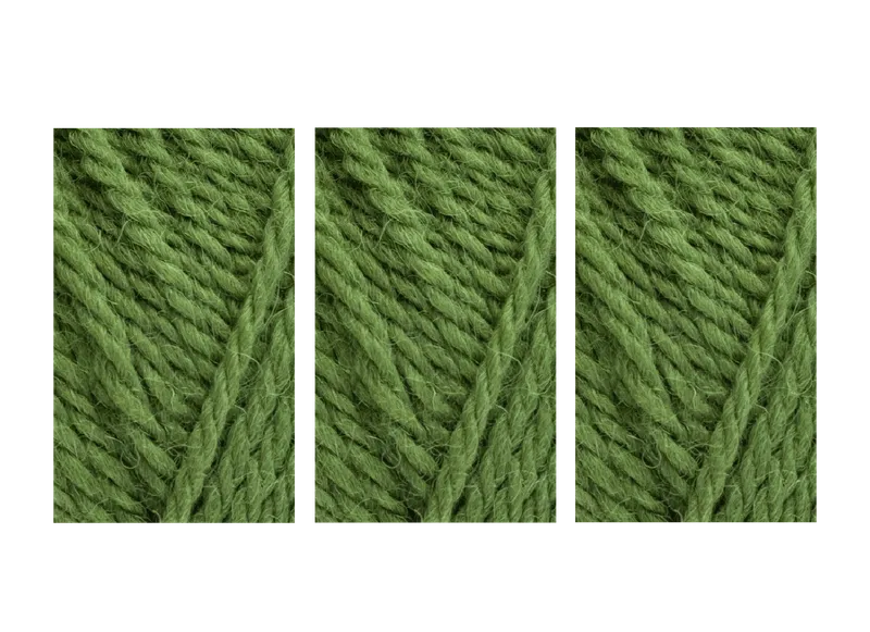 West Yorkshire Spinners ColourLab Aran Yarn Value Pack 3x100g Moss Green 1177 300g
