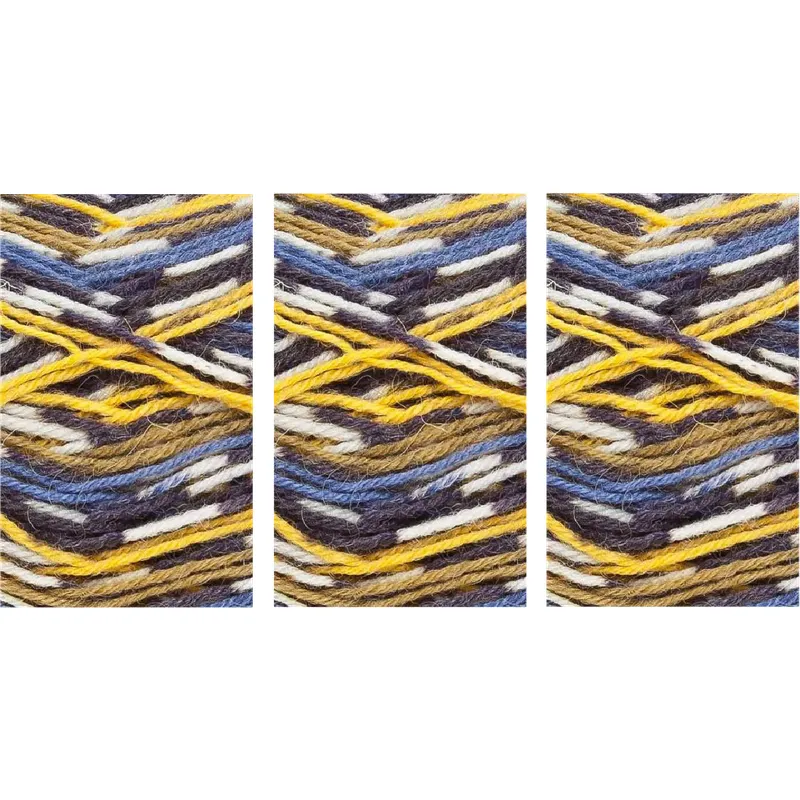 West Yorkshire Spinners Signature 4 Ply Yarn Country Birds Value Pack 3x100g Jay 1167 300g