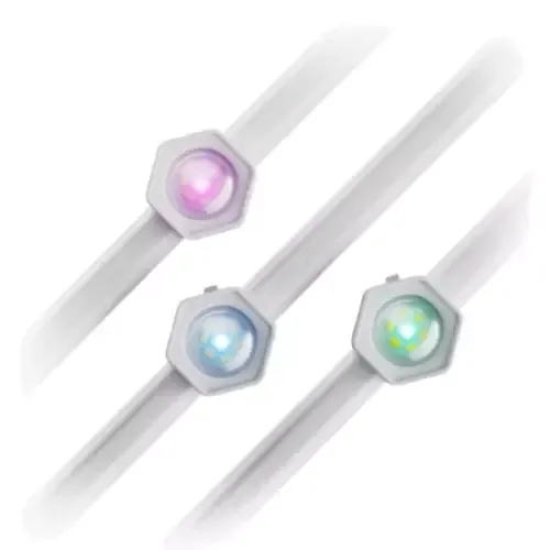 Permanent Outdoor Light Exp Pack 5M