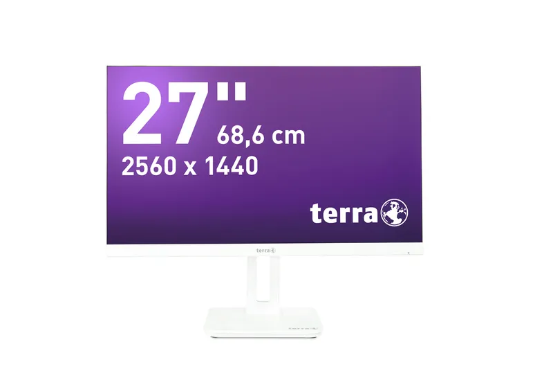 TERRA 3030222 computer monitor 60.5 cm (23.8") 1920 x 1080 pixels