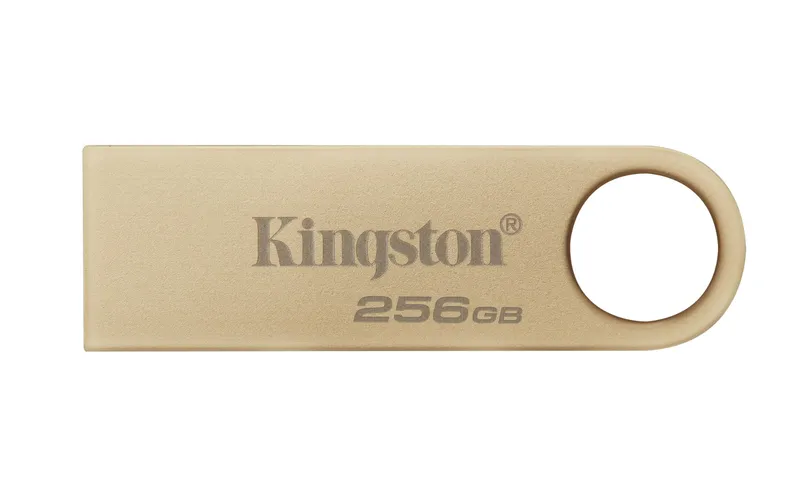 Kingston Technology DataTraveler 256GB 220MB/s Metal USB 3.2 Gen 1 SE9