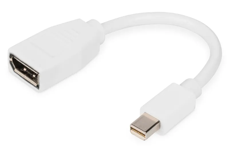 Digitus DisplayPort adapter cable. mini DP - DP