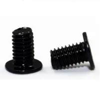 Acer 86.GCHN2.003 laptop spare part Screw