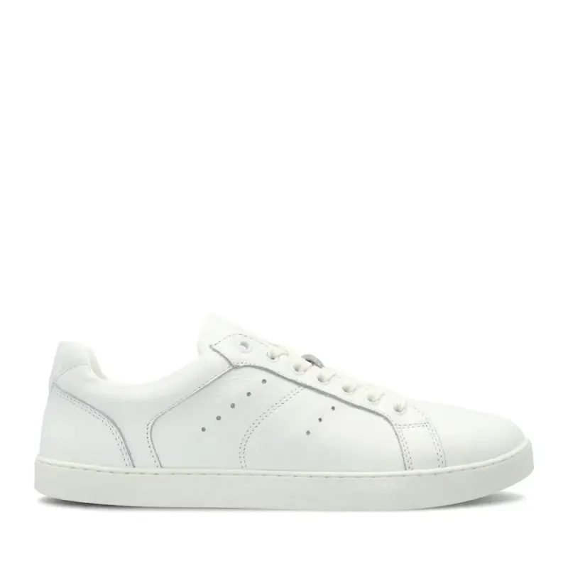 Trainers Groundies Universe Regular