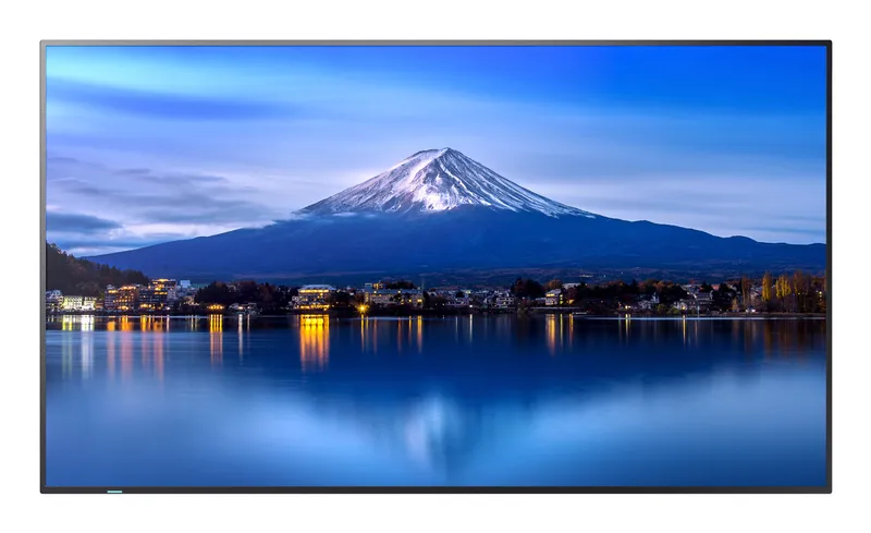 Sharp 65' P-Series Large Format Display