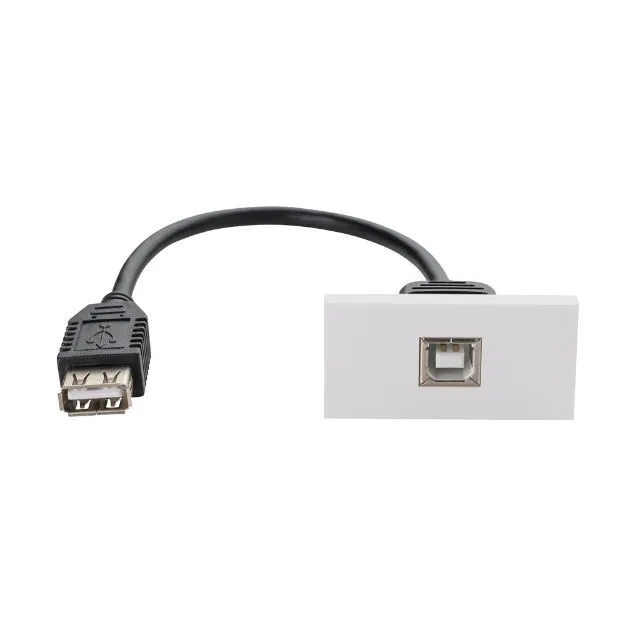 connektgear 0.2m AV Snap-In USB 2 Type B Module 25 x 50mm - Socket to