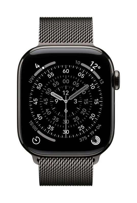 Apple MGJ14ZM/A smart wearable accessory Band Slate colour Stainless steel