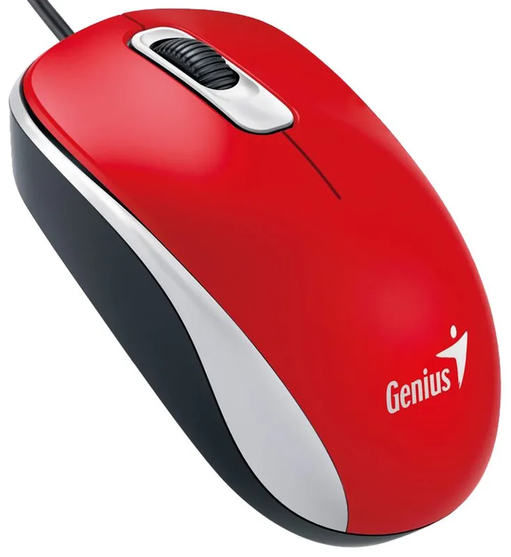 Genius Computer Technology DX-110 mouse Office Ambidextrous USB Type-A