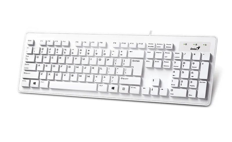 Genius Computer Technology Slimstar 130 keyboard Office USB QWERTY Eng