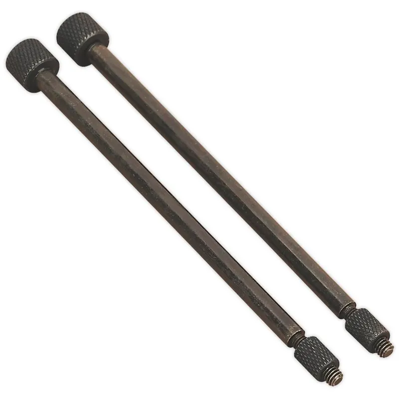 Sealey Door Hinge Removal Pins