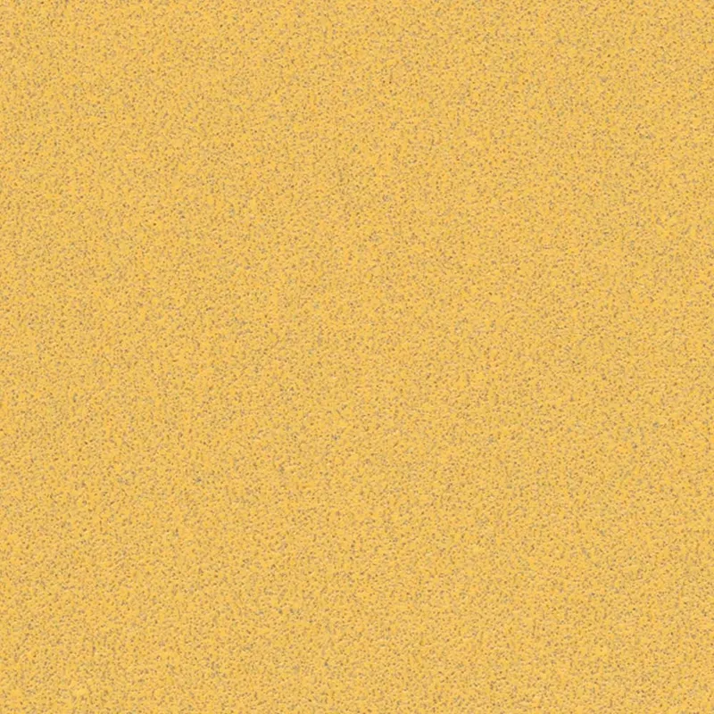 Bosch EXPERT C470 No Hole Sandpaper for Orbital Sanders