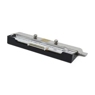 Zebra P1123335-056 print head