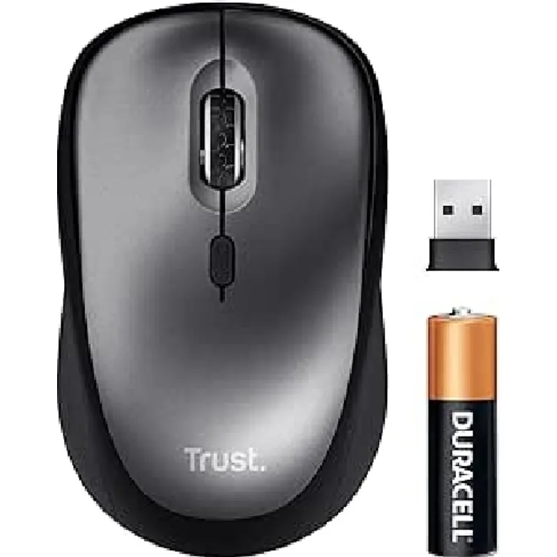 Trust TM-201 mouse Office Right-hand RF Wireless Optical 1600 DPI