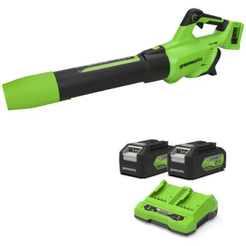 Greenworks BL48L 48v Cordless Garden Leaf Blower