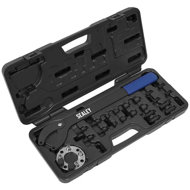 Sealey VS754 24 Piece Pulley Holding and Turning Set for VAG Vehicles