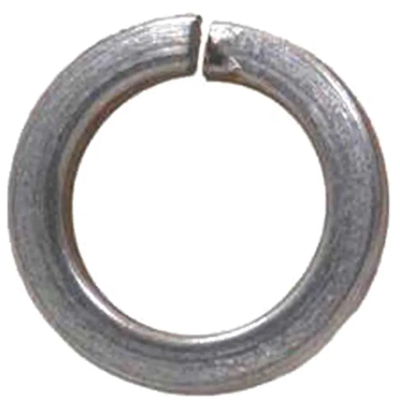 Sirius A4 316 Stainless Steel Spring Washers