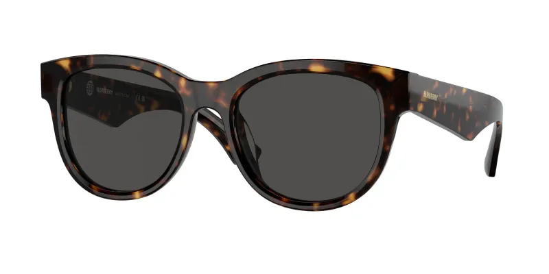 Burberry Woman Burberry BE4432U 300287 Sunglasses Acetate Brown Grey Pantos Normal