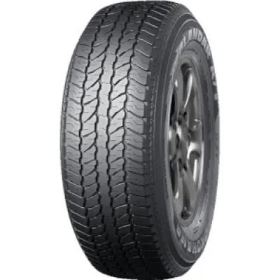 Geolandar A/T (G31C)