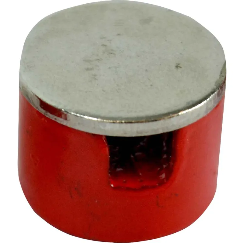 Faithfull Button Magnet