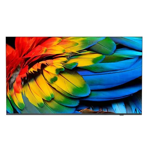 Philips 50HFL6214U 127 cm (50") 4K Ultra HD Smart TV Wi-Fi Anthracite 400 cd/m Rollable display