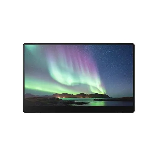 Ricoh Portable Monitor 150