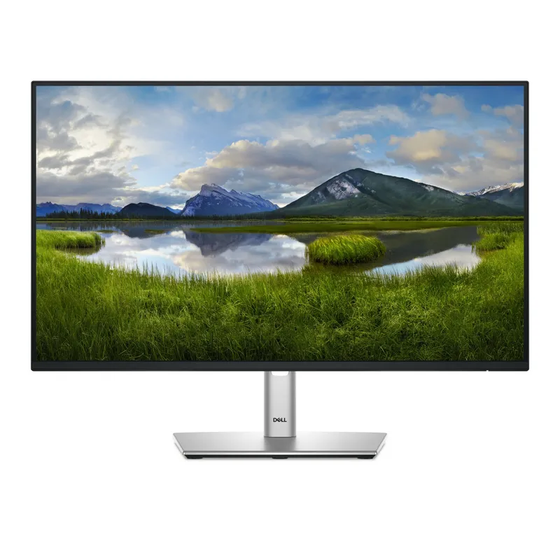 DELL Pro Plus P2425H computer monitor 61 cm (24") 1920 x 1080 pix