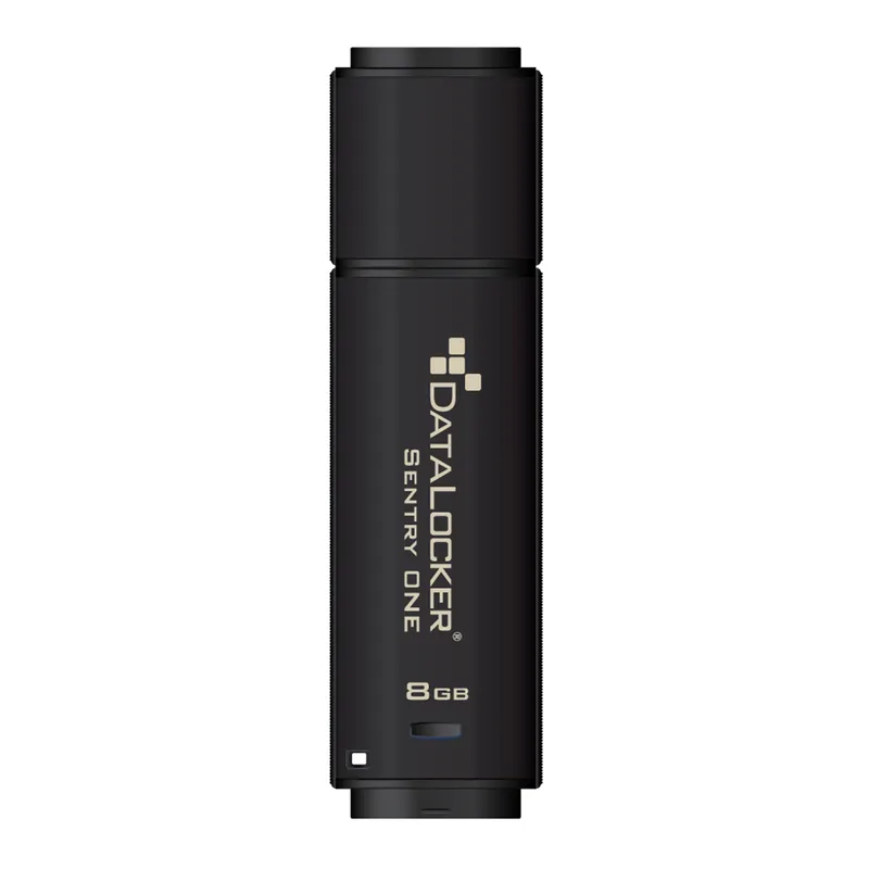 DataLocker Sentry One Encrypted FIPS 140-2 Level 3 128GB Flash Drive